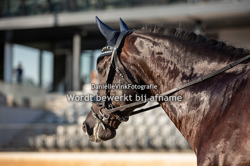 Britt van der Panne - Heatrow