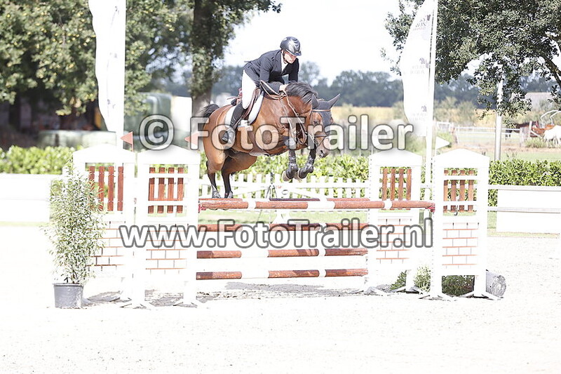 dennis van den brink