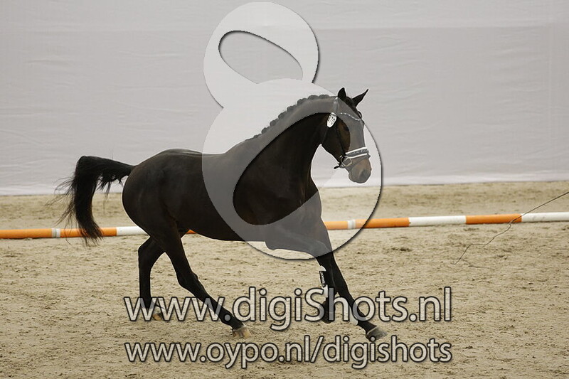 Sting v. Glamourdale