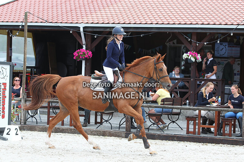 KNHS Regiokampioenschappen Utrecht 02-07-2022 1.20m