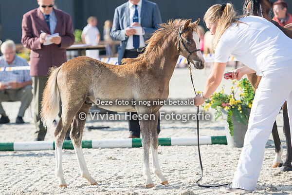 Regionale Keuring Tolbert