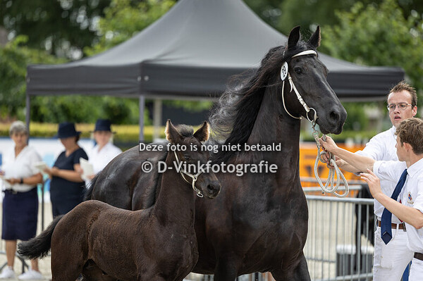 29. Drys Symon van de Hazenakker