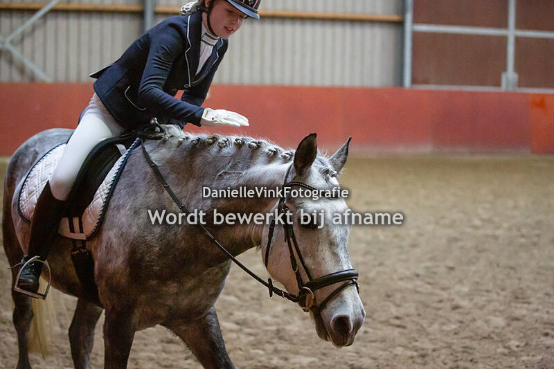 Caroline Scheepers - Dino