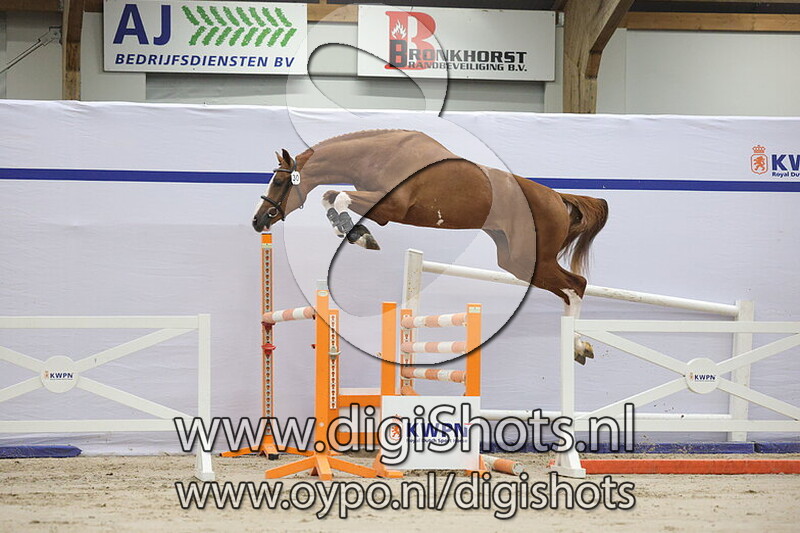 Crescendo van de Boxem Z