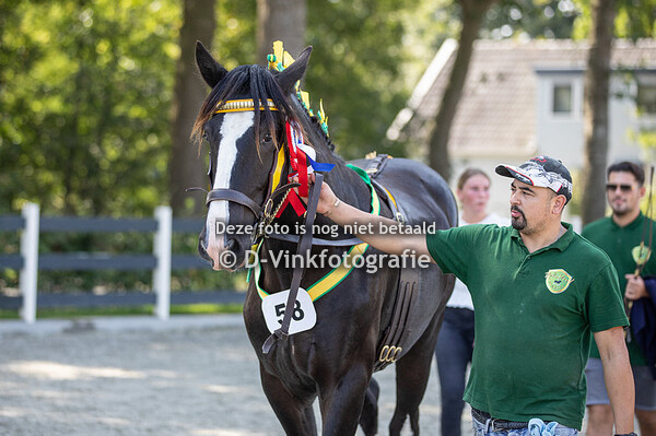 11. Jeugdkampioenschap