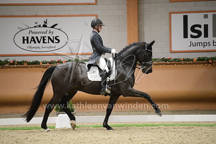Corentin Pottier - Gotilas Du Feuillard