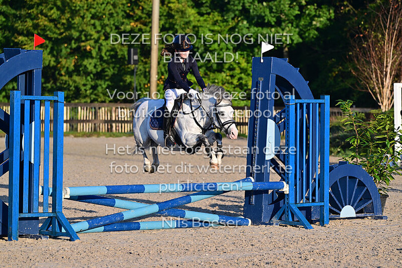 7 50-60 cm Cat. ABC - pony's - rijstijl zonder barrage