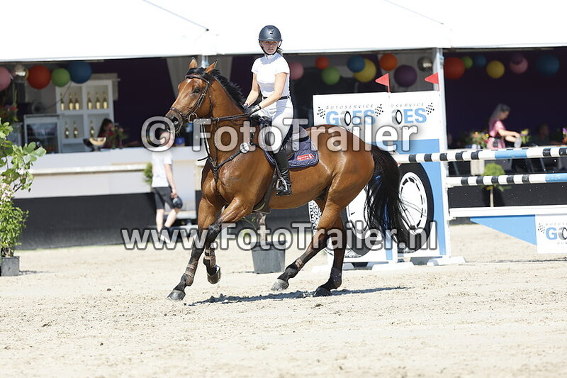 sophie van der werff