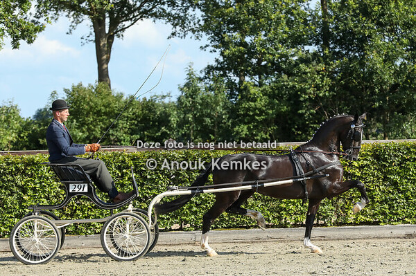 Alternatieve Ibop Rielanta H ( Lanto HBC x Sir Arie )