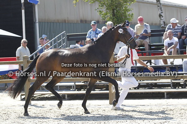 109 Kiana V.O.D. v Davino V.O.D