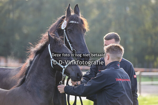 02. Yeppe van Molenwaard