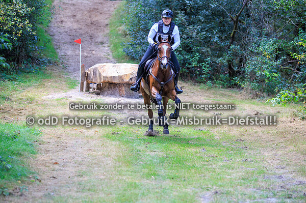 Eventing Norg paard L pony M 30-08-25