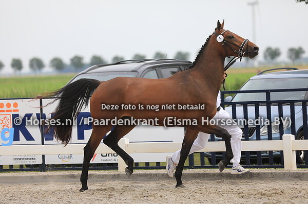 1 Layla Nosa v Etoulon VDL