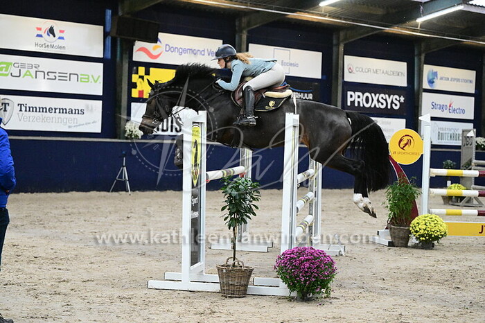 Cynthia Wouda - Montana van Chapelbridge