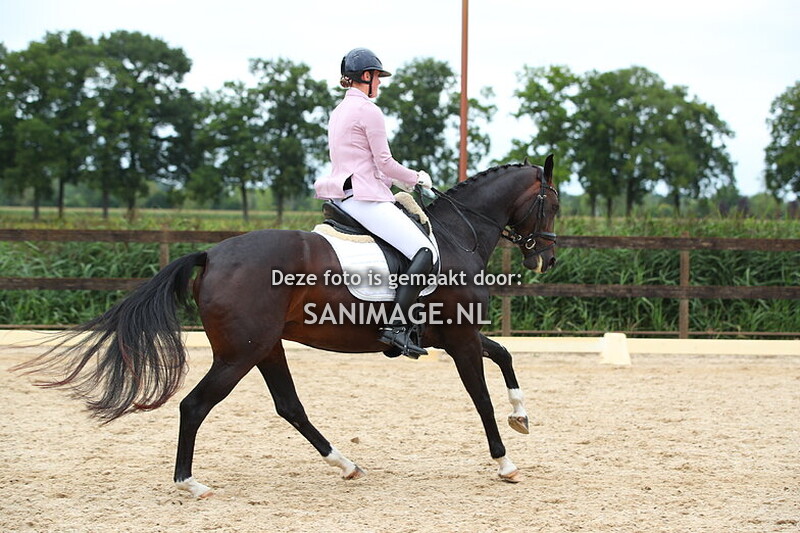 Manege Groenewoude Dressuur 17-08-2025 Ring 2 16.20- 18.00 uur