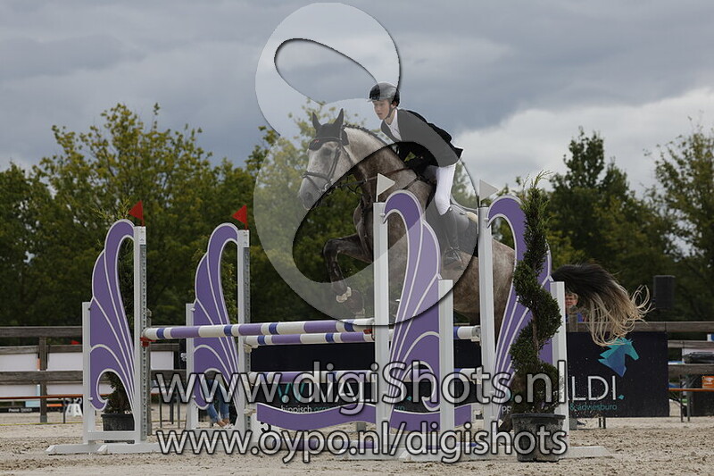 Paarden 0.90 cm 2e ronde