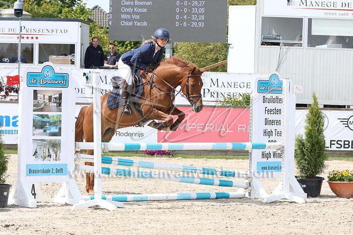 Onbekend (90cm CDE vosje)