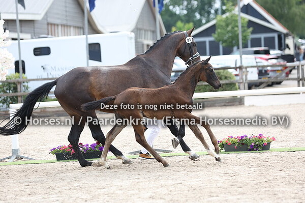 93 Victoria (For Romance x Gracia v. Spielberg