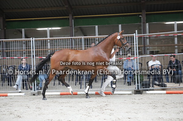 68 Magic Lady (Florencio x Biona v. Flemmingh)