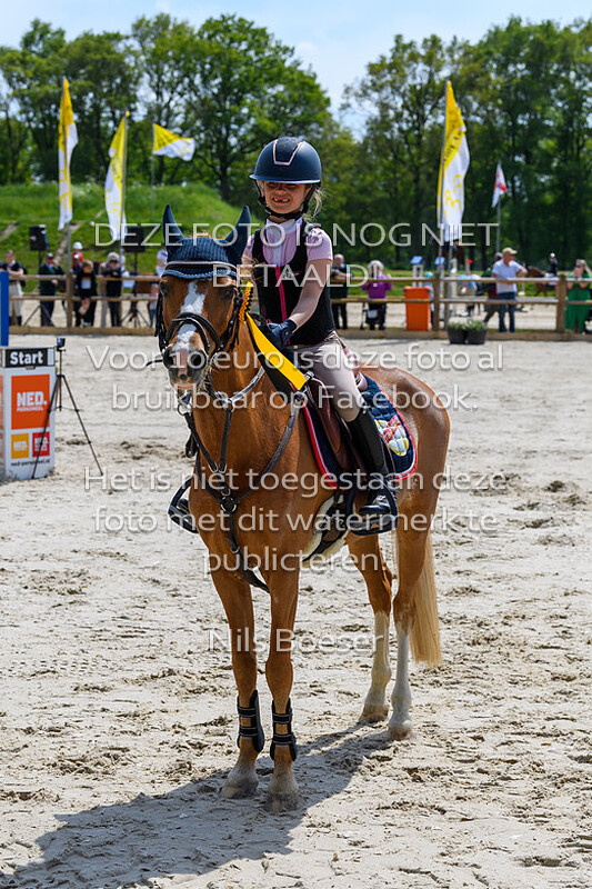 S17 Springen AB 70cm