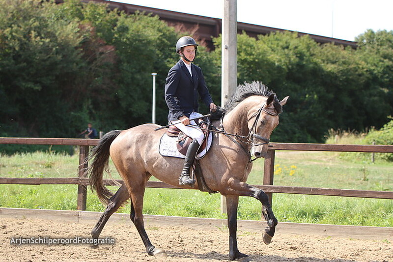 Horka Concours 02-09-2022 90cm