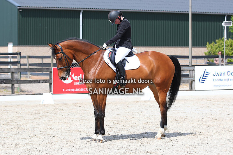 Reigersburgh 19-05-2023 Dressuur 12.50 uur (Ring 1)