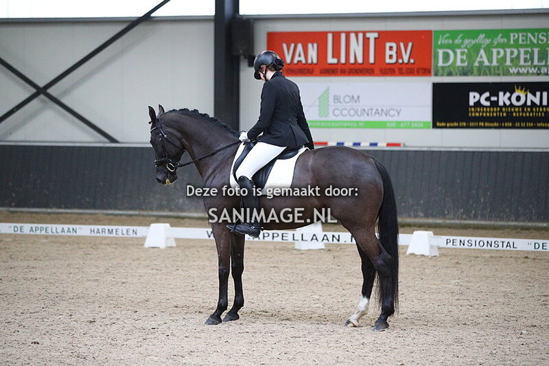 De Voornruiters Dressuur 16-12-2023 9.00-10.25 uur