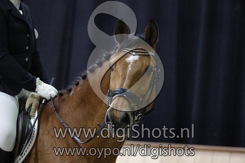 Jennifer de la Porte