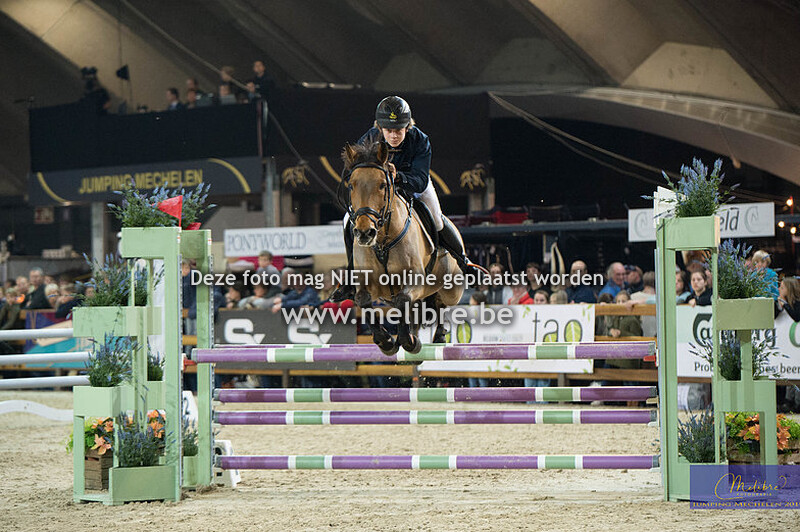 Flandria Rent - JM IM Finale ponies 1m