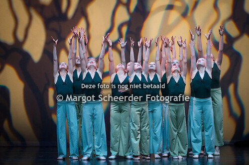 09. beautiful big tree