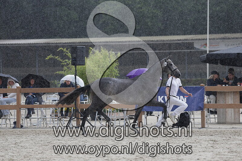 Smurfan de Levee v. Chacoon Blue