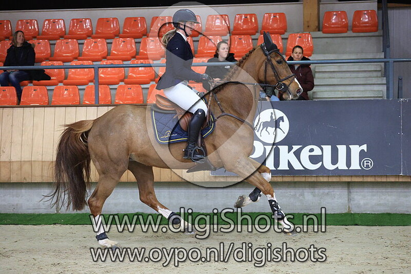 Miss Willow vd Woestenheide