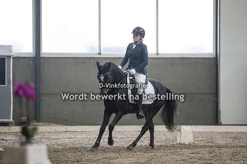 Lis de Vries - Chico Corando