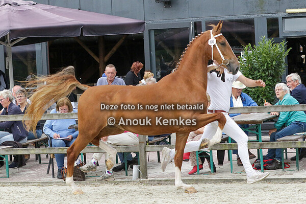 060 - RESATINE FANTIJN X MANNO L.N.M. TEL, EEN/ L.W. BOELENS, EEN