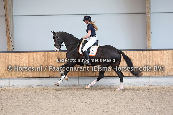 31 Premium Lady Texel (Jameson RS2 x Belle Lady texel v. Krack C)