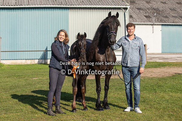 08. Calle D van Rijnswoude