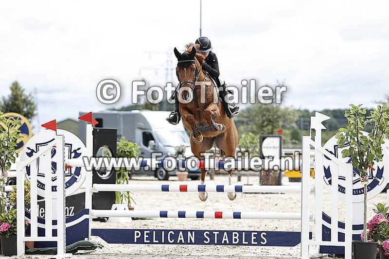 anoek van der pluijm