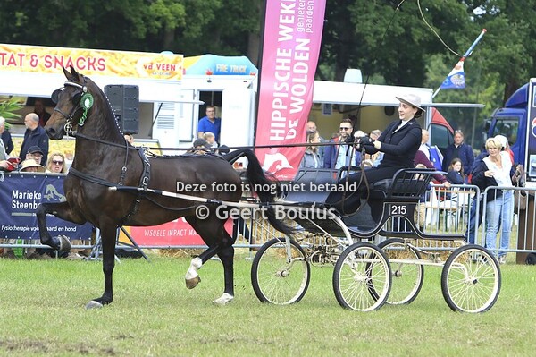 De Wijk 2025 tot en met de competitie