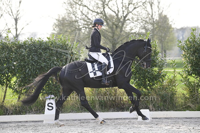 Valeria Litovchenko - Bourani