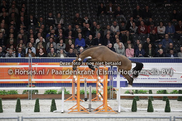 101 Macon VDL (Etoulon VDL x Arezzo VDL x Zaval VDL)