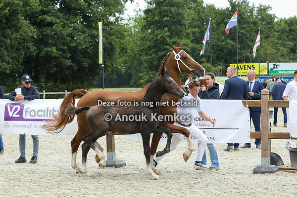 82 - Vanvouver ( Idol x Eebert )