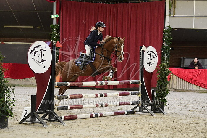 Lynn van den Brink - Hoge Linthorst Timber