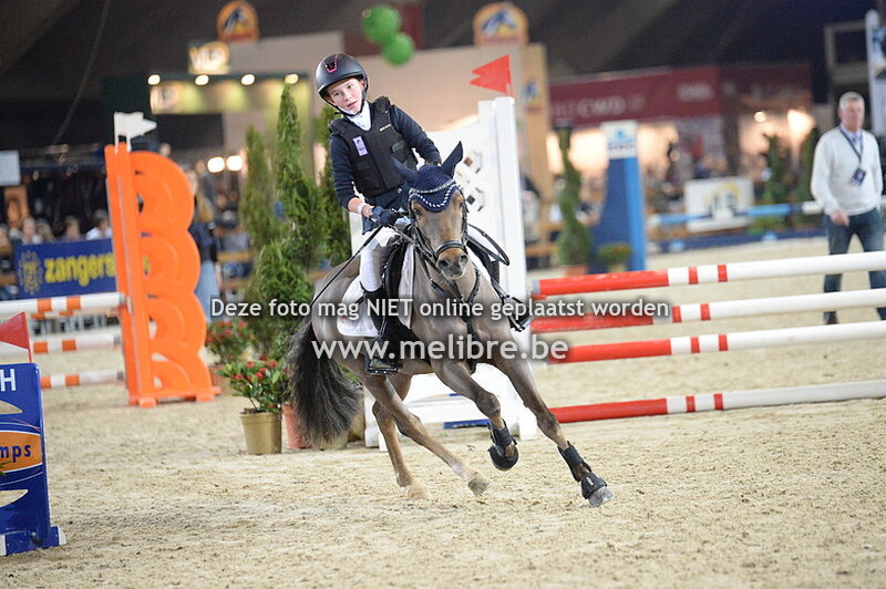 JM18 -DO- Belgische Rijpony 2