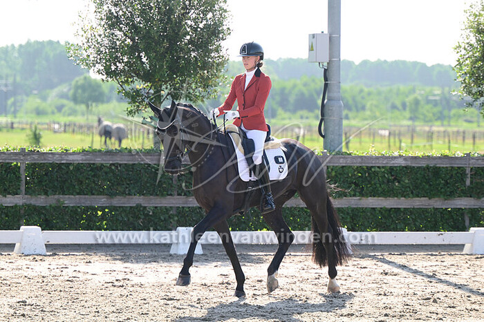 Sjuul Spelt - Riverdance V.S.