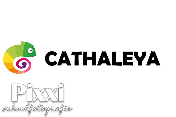 Cathaleya