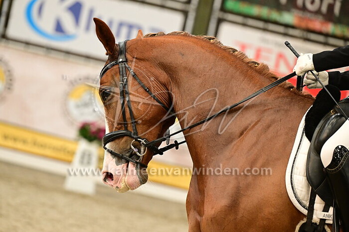 Rowie Rooth - Rozanne