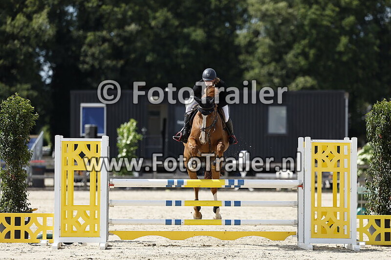 roderick van den engh