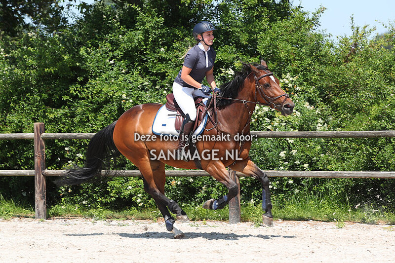 KNHS Regiokampioenschappen Utrecht 17-06-2023 Pony's 100 cm