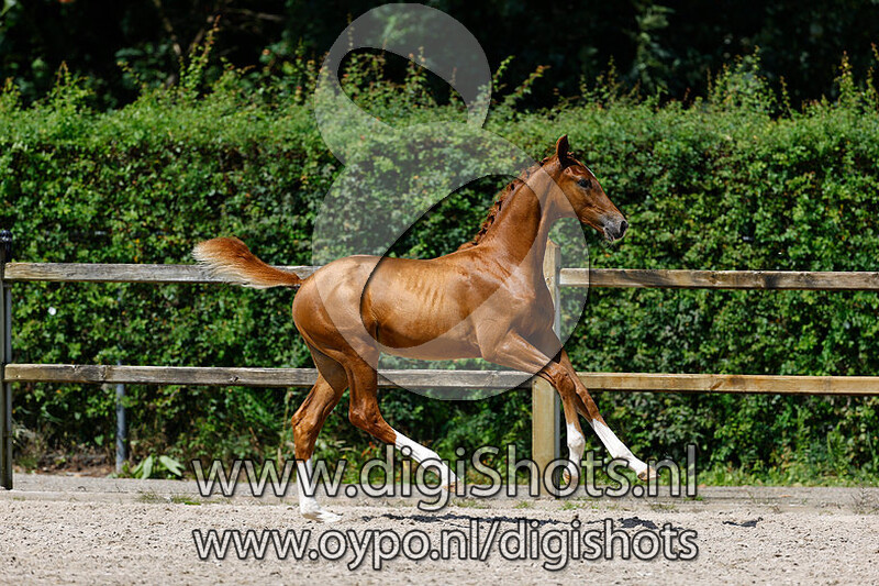 Retteketet Texel v. Le Formidable