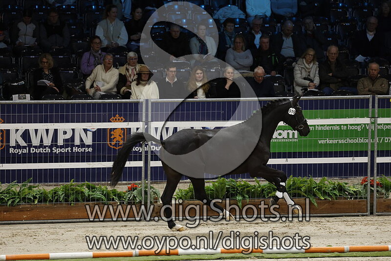 Silvano B v. Springbank Ii Vh - 515